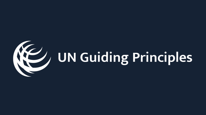 UN Guiding Principles on Business & Human Rights