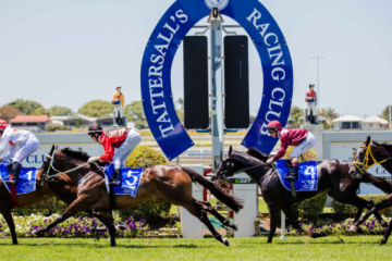 Tattersall's Tiara Race Day